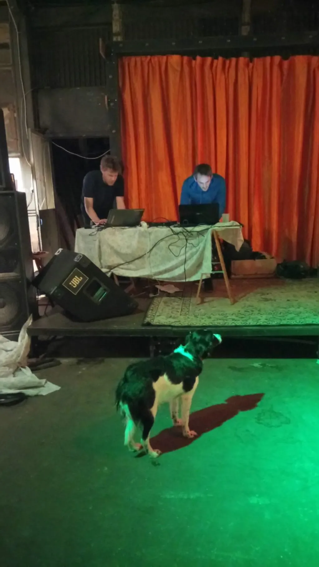 CrashServer and the dog